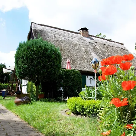 Komfortables Ferienhaus In Ahlbeck