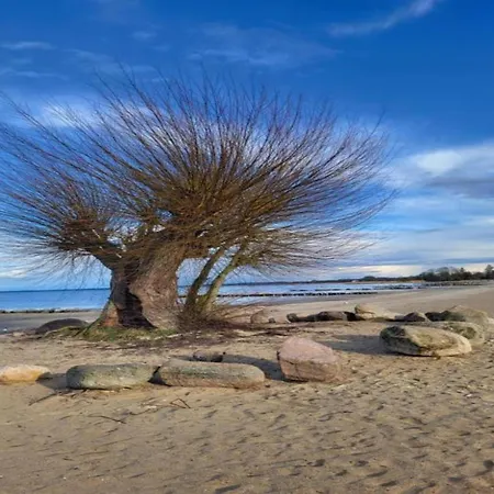 度假居 Comfort Meets Coastal Charm