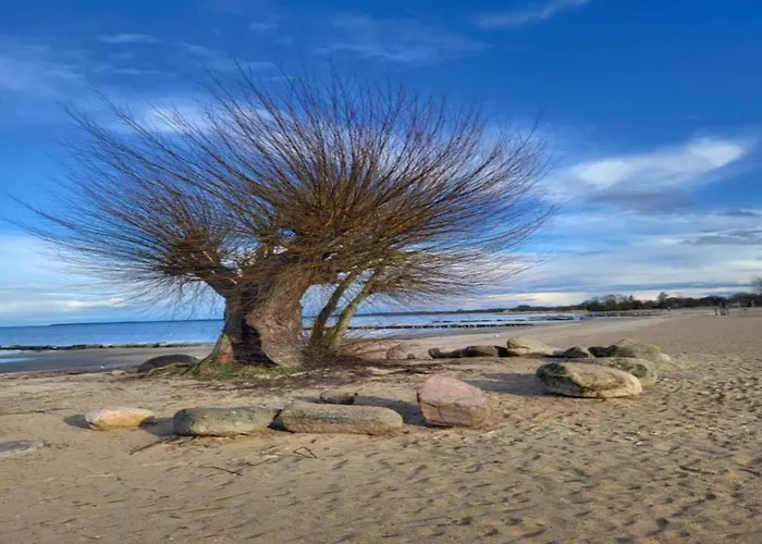 펜션 Comfort Meets Coastal Charm